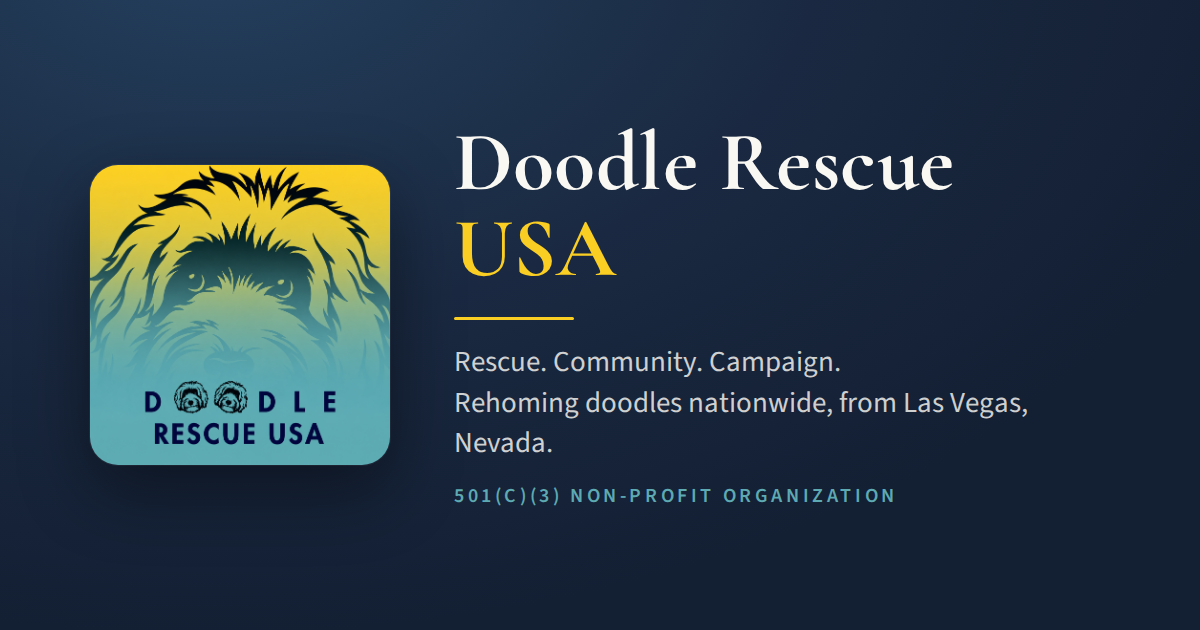 Doodle Rescue USA — Doodle-breed rescue based in Las Vegas, Nevada